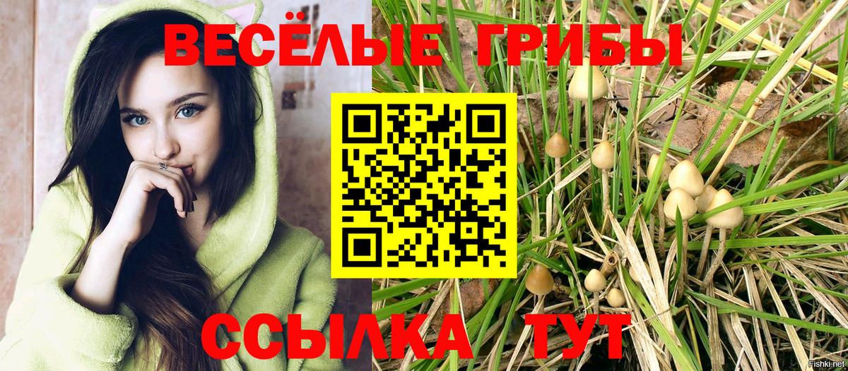 Галлюциногенные грибы прущие грибы  Вход с VPN  Черняховск 